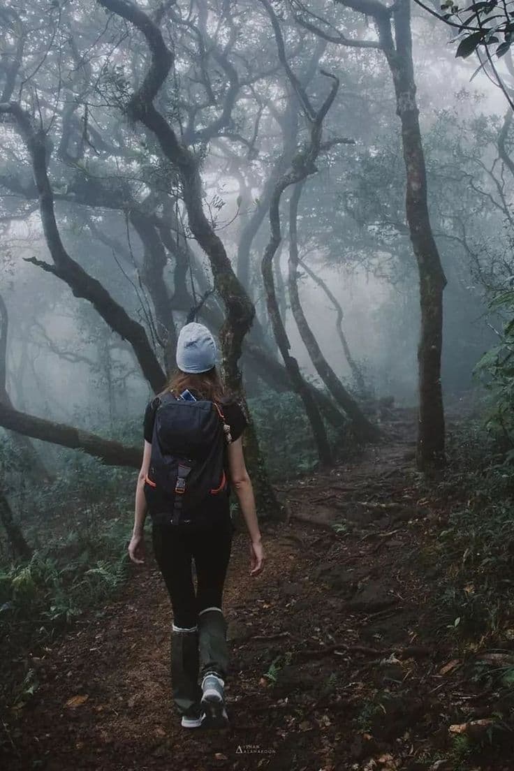 Knuckles Range Hiking